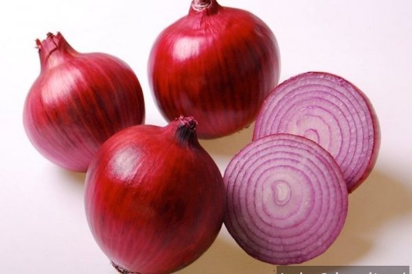 Https megaruzxpnew4af onion